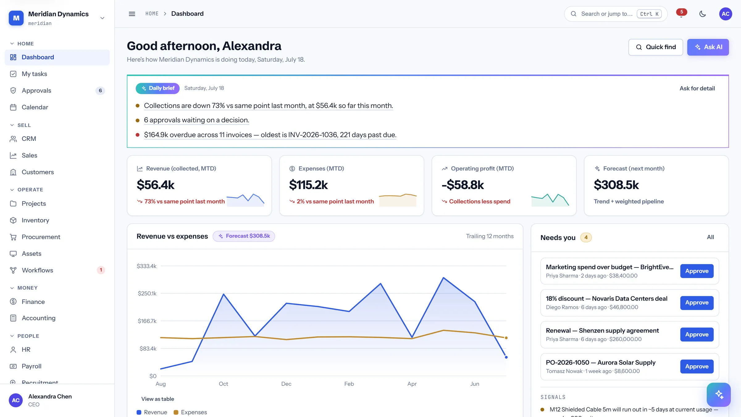 Leadership view — actual CareIT Business OS product UI
