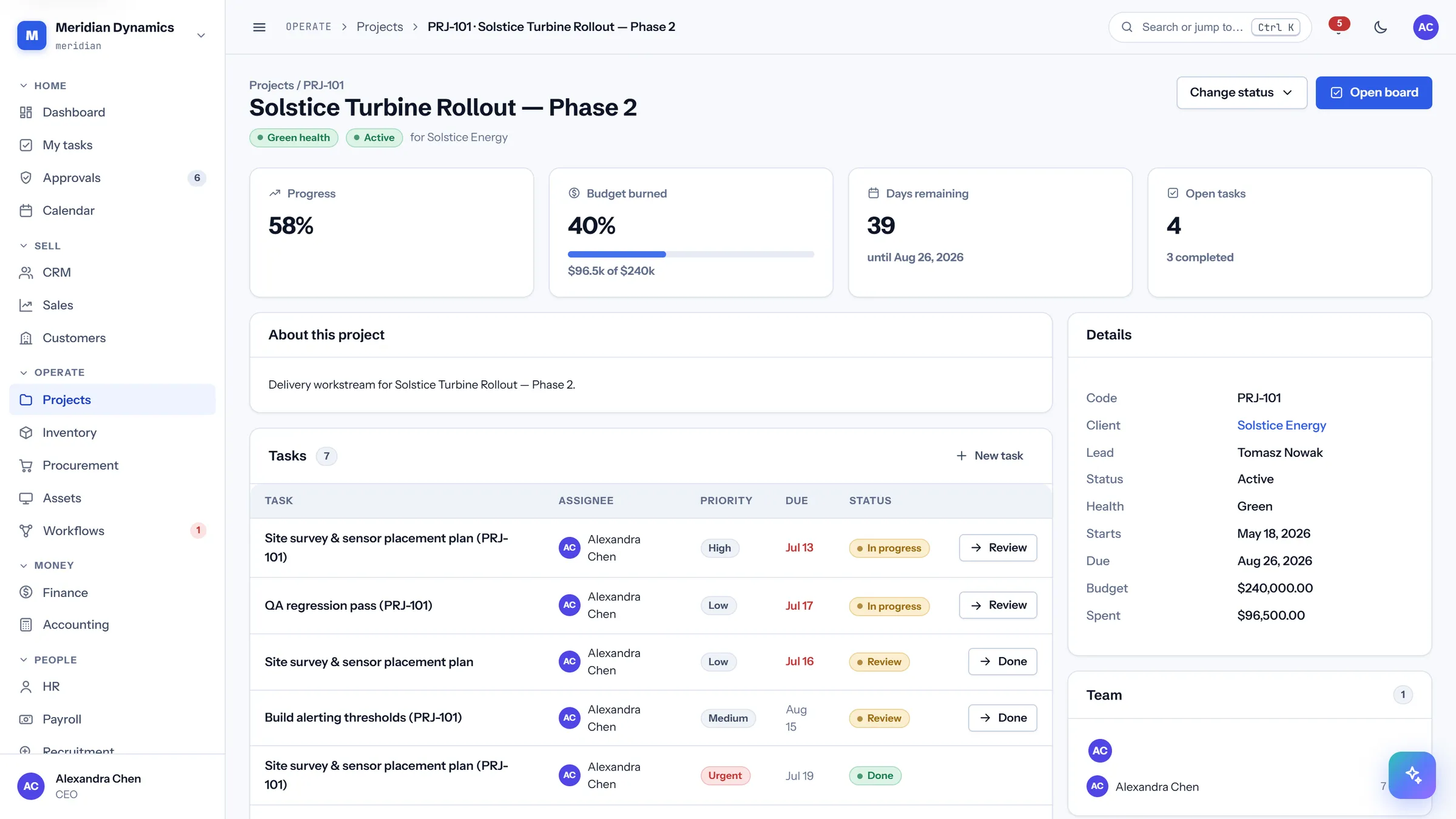 Project detail in CareIT Business OS — One project: progress against budget, days remaining, the task list, delivery milestones, and the team on it..